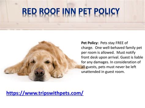 best western pet policy|pet policy best western hotel.